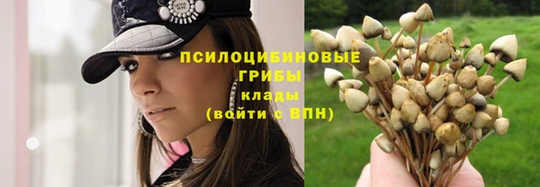прущий лед Лагань