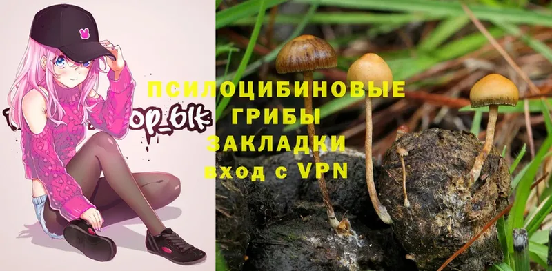 магазин    Мыски  Галлюциногенные грибы Magic Shrooms 