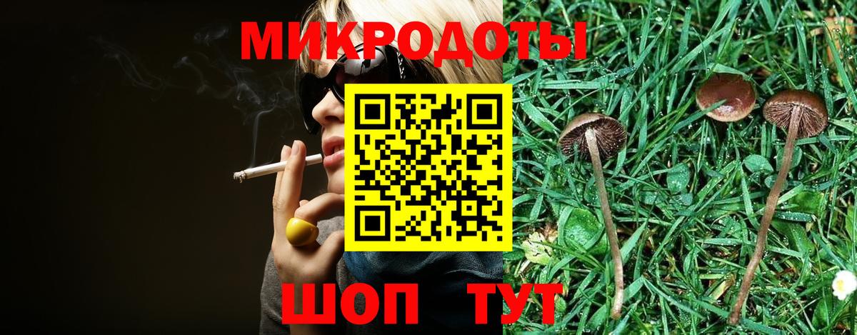 Мыски  Псилоцибиновые грибы Psilocybe  Вход с VPN 